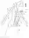Fig. 08 - THERMAL SUTURE WELDING APPARATUS AND METHOD