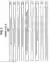 Fig. 06 - Method and apparatus for applying digital signatures to translated content