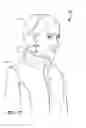 Fig. 04 - Detachable apparel collar