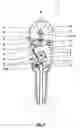 Fig. 06 - Crimping pliers