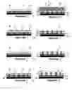 Fig. 09 - METHOD OF FORMING A MULTILAYER STRUCTURE