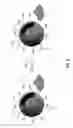 Fig. 06 - Method for forming and aligning chemically mediated dispersion of magnetic nanoparticles in a polymer
