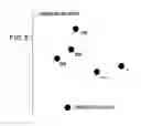 Fig. 06 - Printing control device, printing system and printing control program