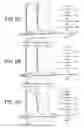 Fig. 07 - Wide-angle lens, optical apparatus, and method for focusing