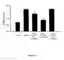 Fig. 16 - Methods of suppressing microglial activation and systemic inflammatory responses