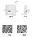 Fig. 02 - METHOD AND SEALANT FOR SEALING AIR FILTER LEAKS