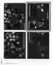 Fig. 08 - Method for determination and quantification of radiation or genotoxin exposure