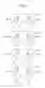 Fig. 09 - SILENT CHAIN