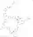 Fig. 101 - Macrocycles and their uses