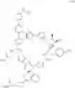Fig. 221 - Macrocycles and their uses