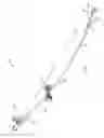 Fig. 02 - Internal bone fixation system with integrated mixer