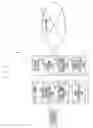 Fig. 02 - CONTENT DELIVERING SYSTEM, RELAYING APPARATUS, USER TERMINAL, CONTENT DELIVERING METHOD, PROGRAM, AND RECORDING MEDIUM