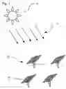 Fig. 02 - Wireless mesh networking of solar tracking devices
