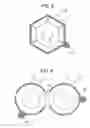Fig. 06 - Packaging container and lid therefor