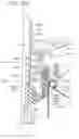 Fig. 35 - Aerosol spray texture apparatus for a particulate containing material