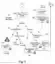 Fig. 09 - System for processing financial transactions in a self-service library terminal