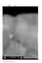 Fig. 09 - PIEZOELECTRIC/ELECTROSTRICTIVE CERAMICS AND PROCESS FOR PRODUCING THE SAME
