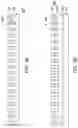 Fig. 09 - WAFER HAVING HEAT DISSIPATION STRUCTURE AND METHOD OF FABRICATING THE SAME