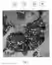 Fig. 02 - Thermoplastic composition and use for large parison blow molding applications
