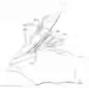 Fig. 01 - Windshield device for motorcycle