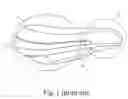 Fig. 02 - Saddle Assembly and Venting Device Thereof