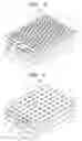 Fig. 06 - BACKLIGHT UNIT