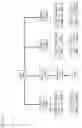 Fig. 83 - Authentication System