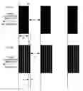 Fig. 06 - BARCODE PRINTING DEVICE AND BARCODE PRINTING METHOD