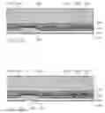Fig. 195 - Inkjet chamber with plurality of nozzles and shared actuator
