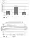 Fig. 05 - BIOMIMETIC MODELLING SYSTEMS FOR REPRODUCING SPREADING PHENOMENA OF COSMETIC AND PHARMACEUTICAL FORMULATIONS ON HUMAN SKIN