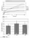 Fig. 07 - BIOMIMETIC MODELLING SYSTEMS FOR REPRODUCING SPREADING PHENOMENA OF COSMETIC AND PHARMACEUTICAL FORMULATIONS ON HUMAN SKIN