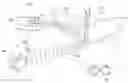 Fig. 01 - Polarization preserving front projection screen