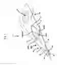 Fig. 02 - Magnetic head suspension