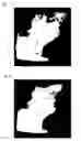 Fig. 02 - Method for characterizing the exhaust gas burn-off quality in combustion systems