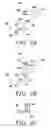 Fig. 07 - Developer stirring unit, developing device and image forming apparatus
