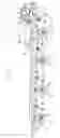 Fig. 02 - Developing Method, Image Forming Method and Image Forming Apparatus