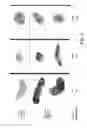 Fig. 06 - PDGF-Rβ binders