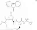 Fig. 07 - Oximyl macrocyclic derivatives