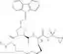 Fig. 09 - Oximyl macrocyclic derivatives