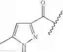 Fig. 114 - Oximyl macrocyclic derivatives
