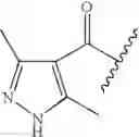 Fig. 117 - Oximyl macrocyclic derivatives