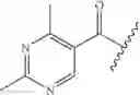 Fig. 124 - Oximyl macrocyclic derivatives