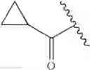 Fig. 143 - Oximyl macrocyclic derivatives