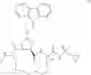 Fig. 158 - Oximyl macrocyclic derivatives