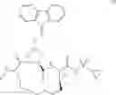 Fig. 162 - Oximyl macrocyclic derivatives