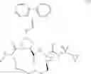 Fig. 163 - Oximyl macrocyclic derivatives