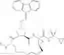 Fig. 164 - Oximyl macrocyclic derivatives