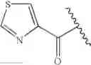 Fig. 169 - Oximyl macrocyclic derivatives