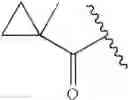 Fig. 176 - Oximyl macrocyclic derivatives