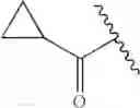 Fig. 188 - Oximyl macrocyclic derivatives